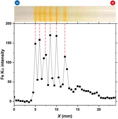 Periodic band formation of Fe(OH)3 precipitate through reaction–diffusion–reaction processes